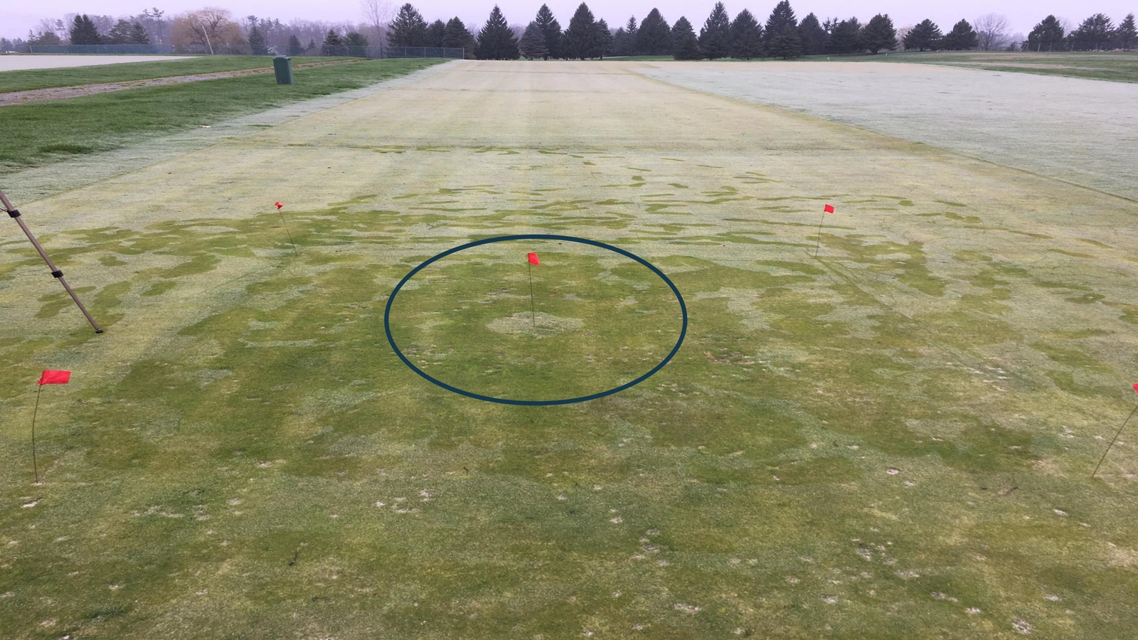 Aerial view of a putting green with a blue circle marking the test area