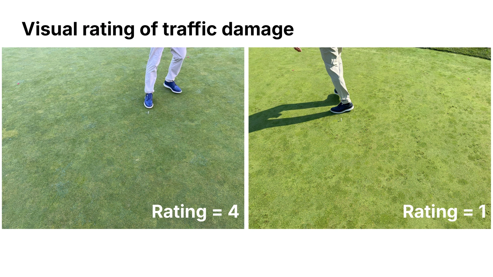 Images showing different levels of traffic damage